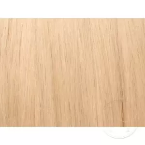 22 Beige Blond 40cm Clip In...
