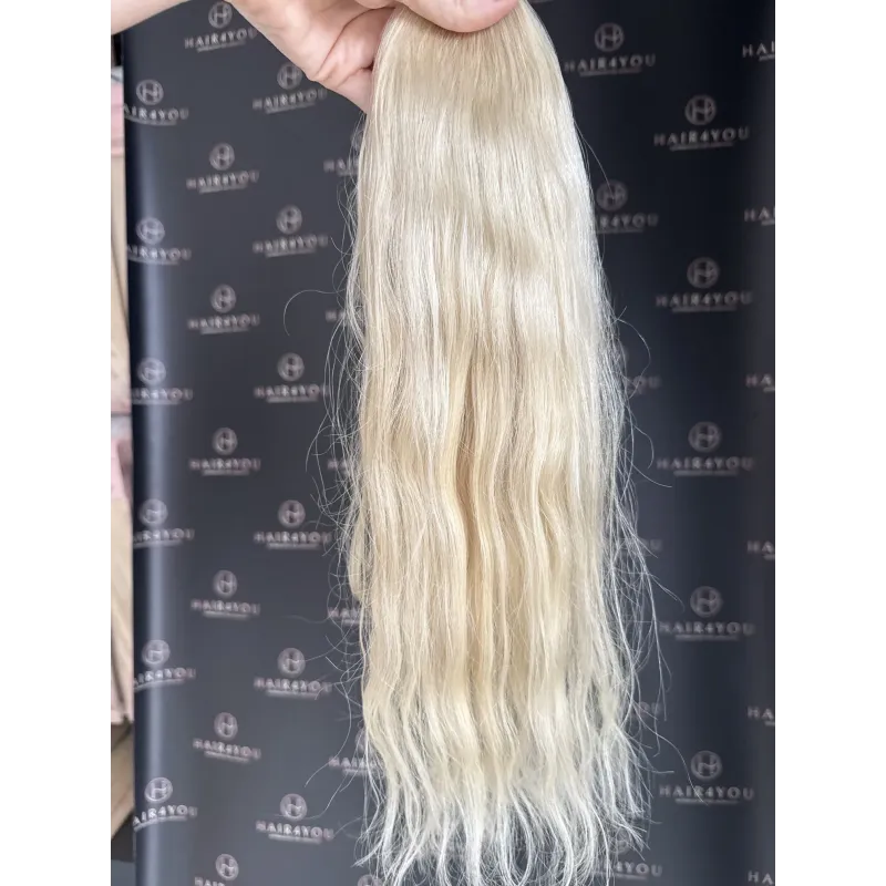 50cm 77g Slavic Hair Bundle from One Head