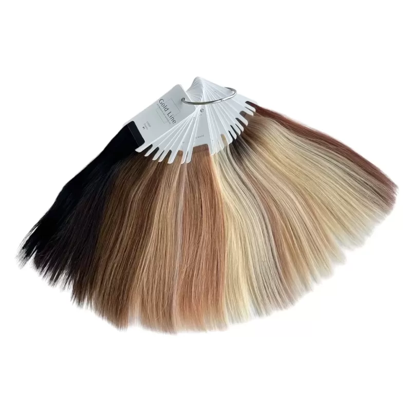 NEU 2026 Farbring / Farbmuster / Palette PREMIUM GOLD LINE