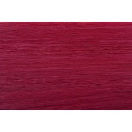 róż EUROPEJSKIE 50cm REMY do microringów