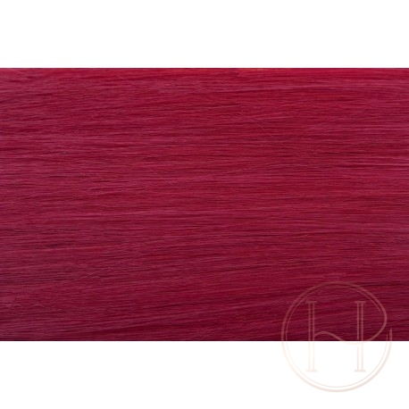 róż EUROPEJSKIE 50cm REMY do zgrzewarki