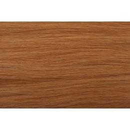 27 miodowy blond EUROPEJSKIE 50cm REMY 100gr